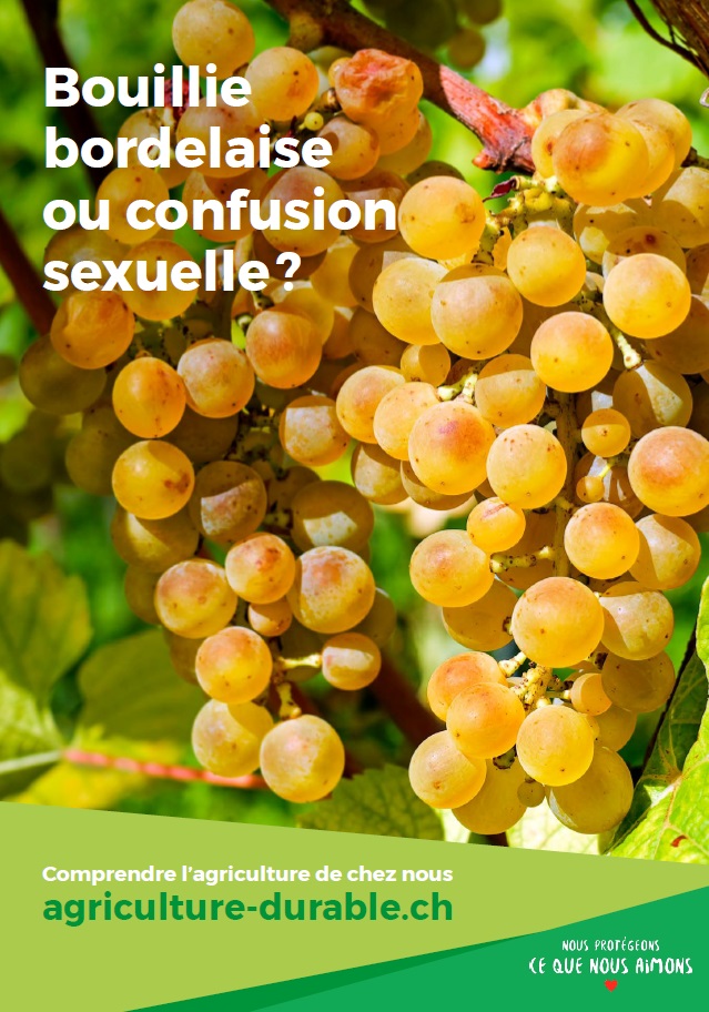 Les agriculteurs utilisent autant que possible des méthodes naturelles, comme la bouillie bordelaise ou la confusion sexuelle.
