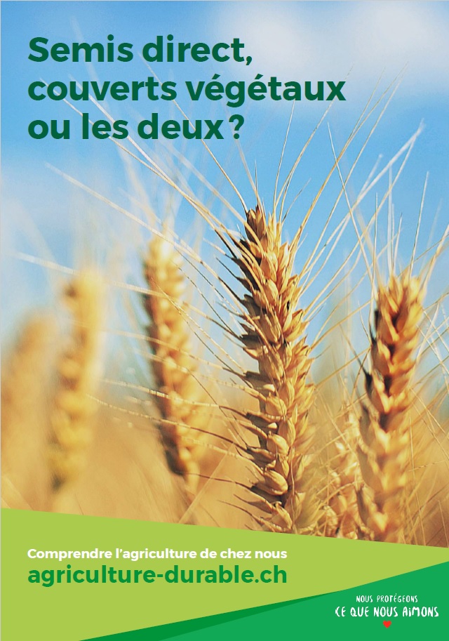 Le semis direct et les couverts végétaux sont deux techniques complémentaires faisant partie de l’agriculture de conservation.