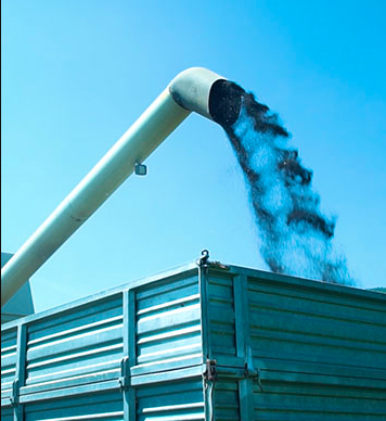 Récolte des céréales