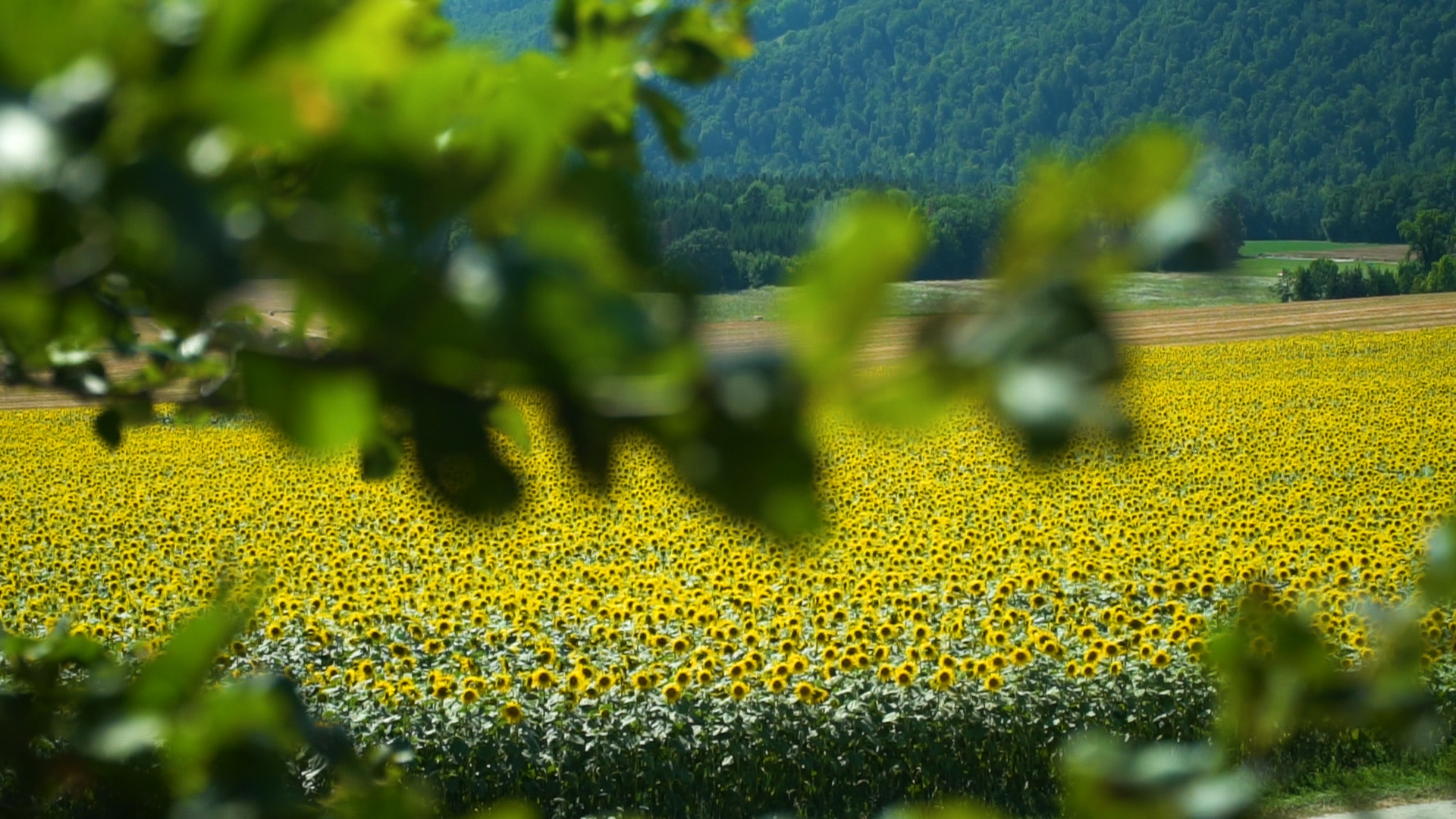 Un but louable, mais des moyens à revoir