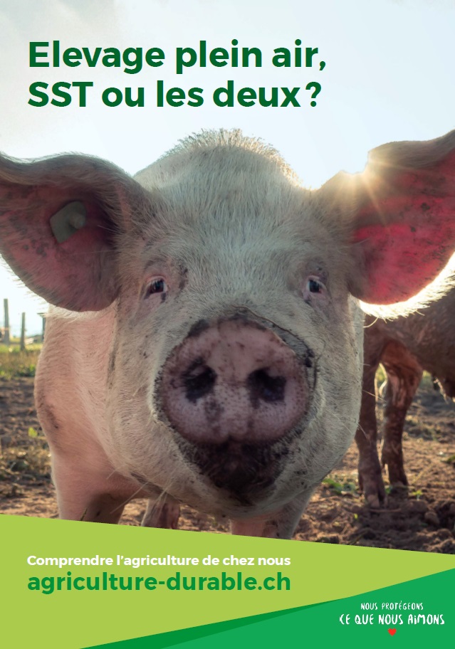 Le bien-être et la santé animale sont très importants pour les éleveurs suisses de cochons.