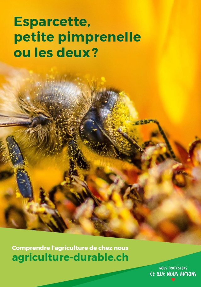 L’agriculture prend de nombreuses mesures pour protéger les abeilles, qui dépendent notamment de la biodiversité.