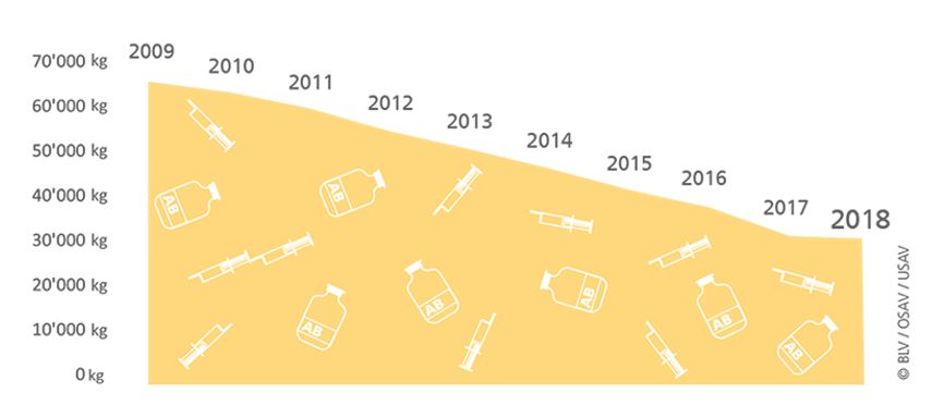 Dans la médecine vétérinaire, la consommation d’antibiotiques est en baisse constante dans les élevages suisses.