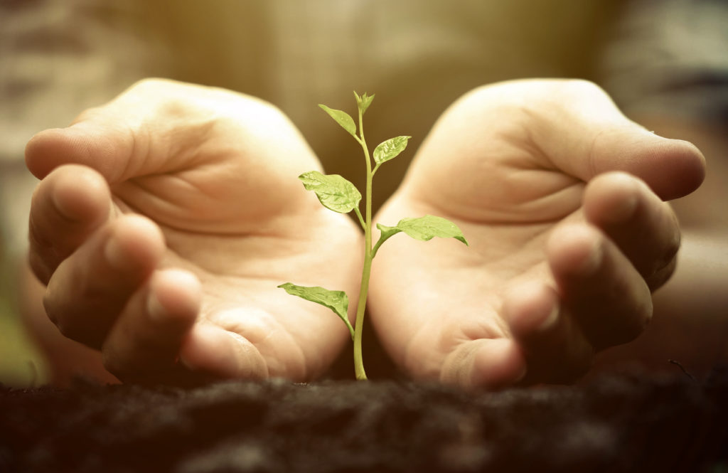 Le sol est une ressource précieuse que l'on se doit de choyer.