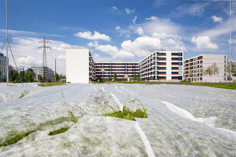 Le sol agricole disparaît à la vitesses d'un mètre carré par seconde en Suisse, sous des bâtiments industriels, des habitations ou des infrastructures.