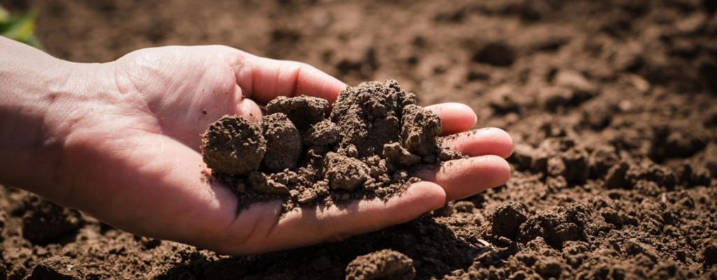 Le sol est une ressource précieuse qui abrite deux tiers des organismes vivants et a de grandes qualités en regard du climat.