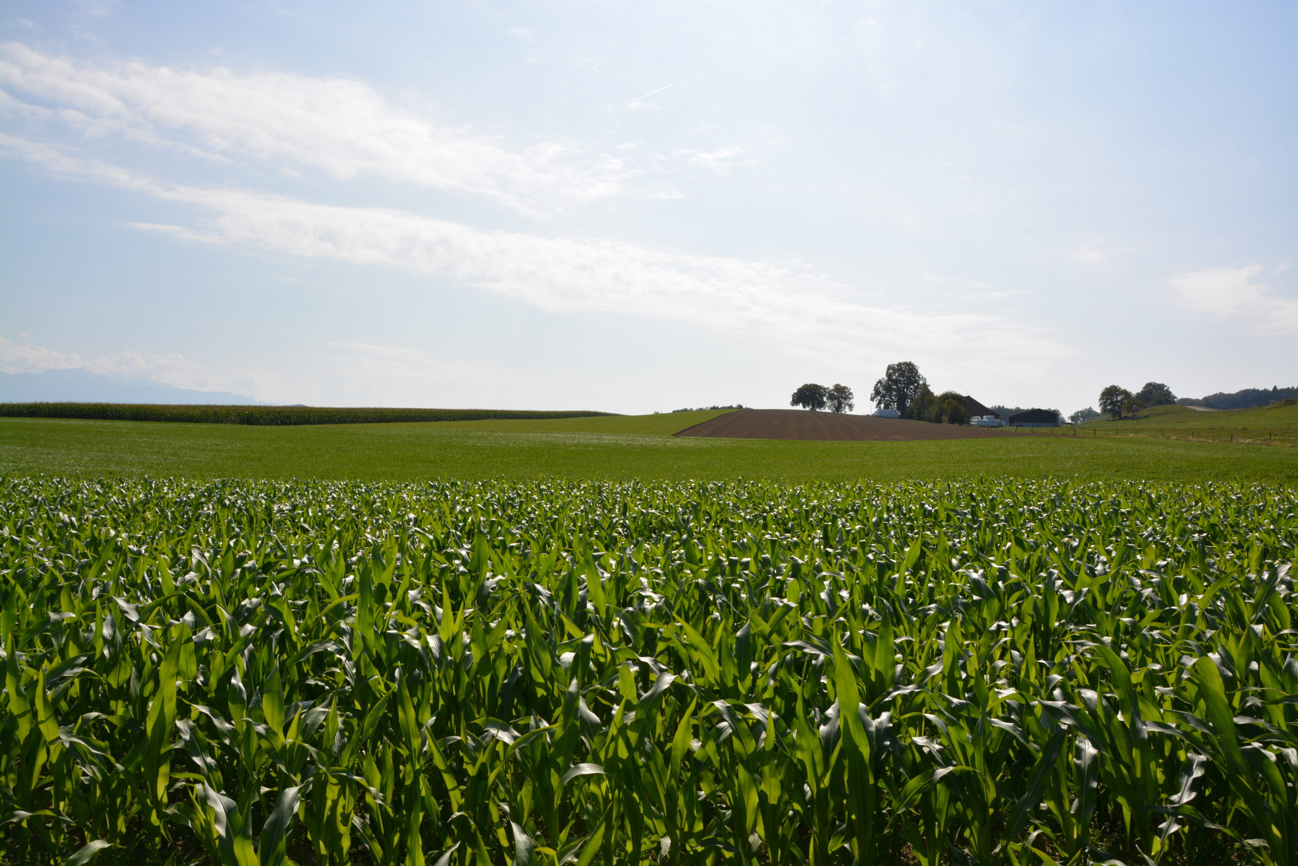 Un appel à la mauvaise cible