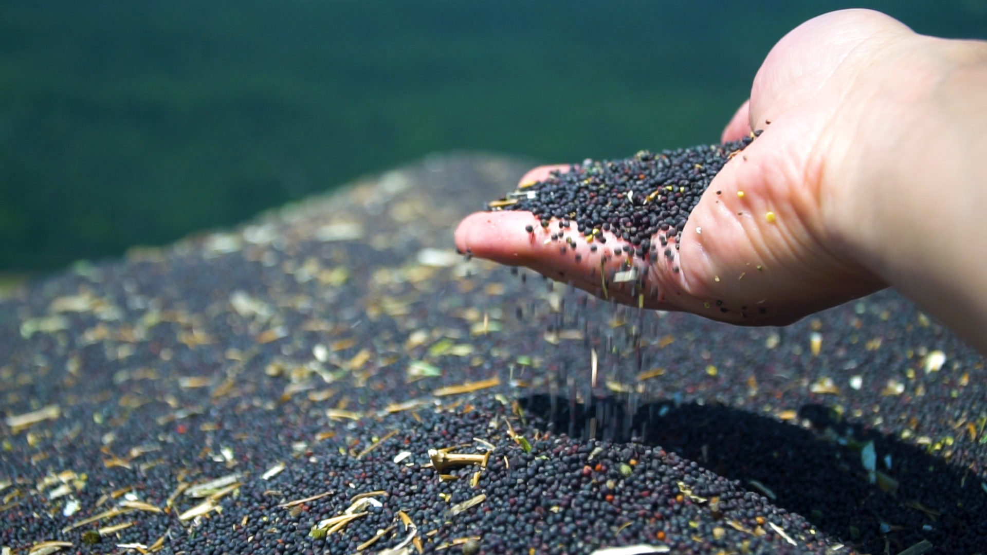 Comment l&rsquo;agriculture suisse prend soin de nos assiettes