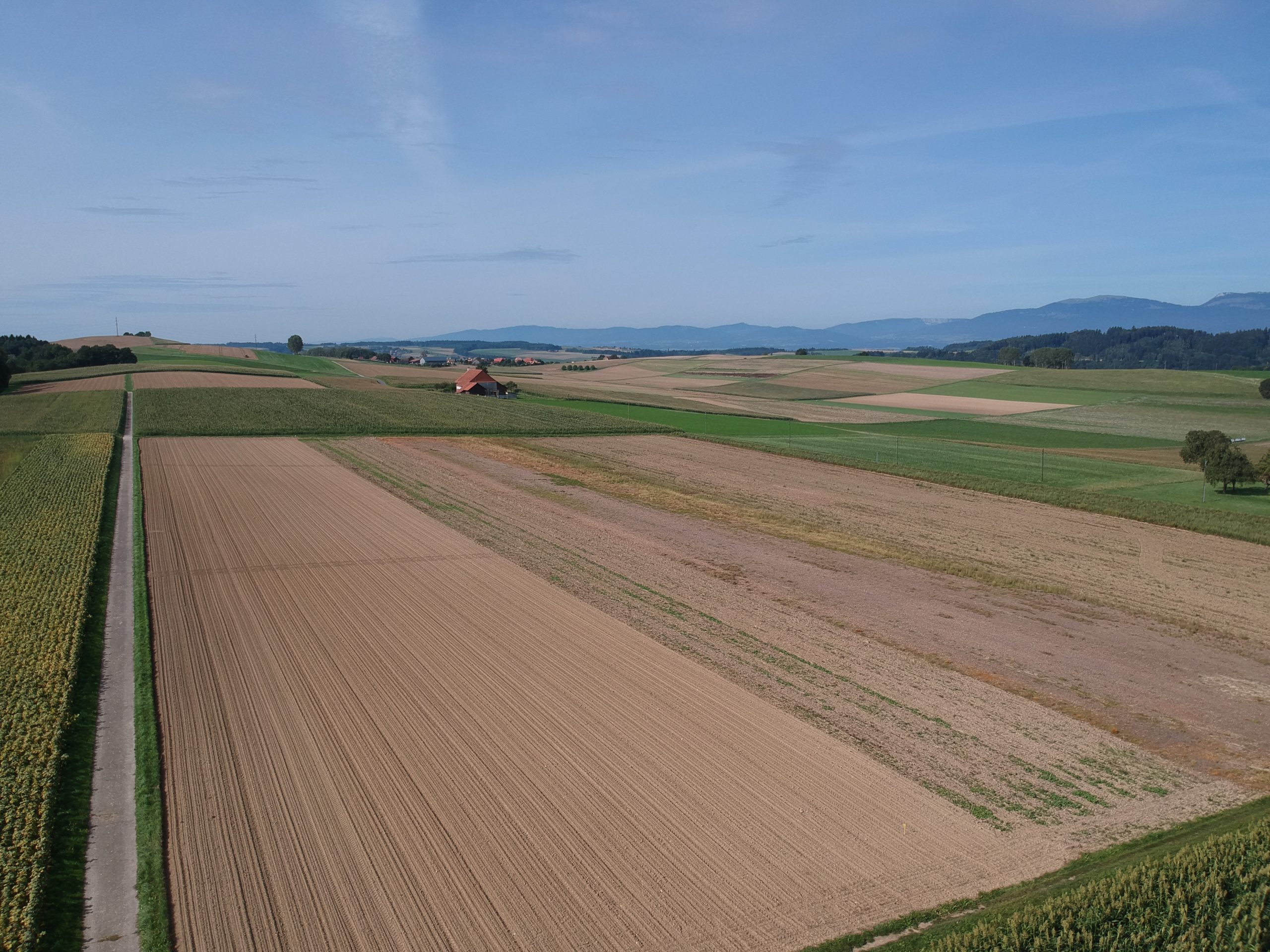 Focus sur la parcelle agricole