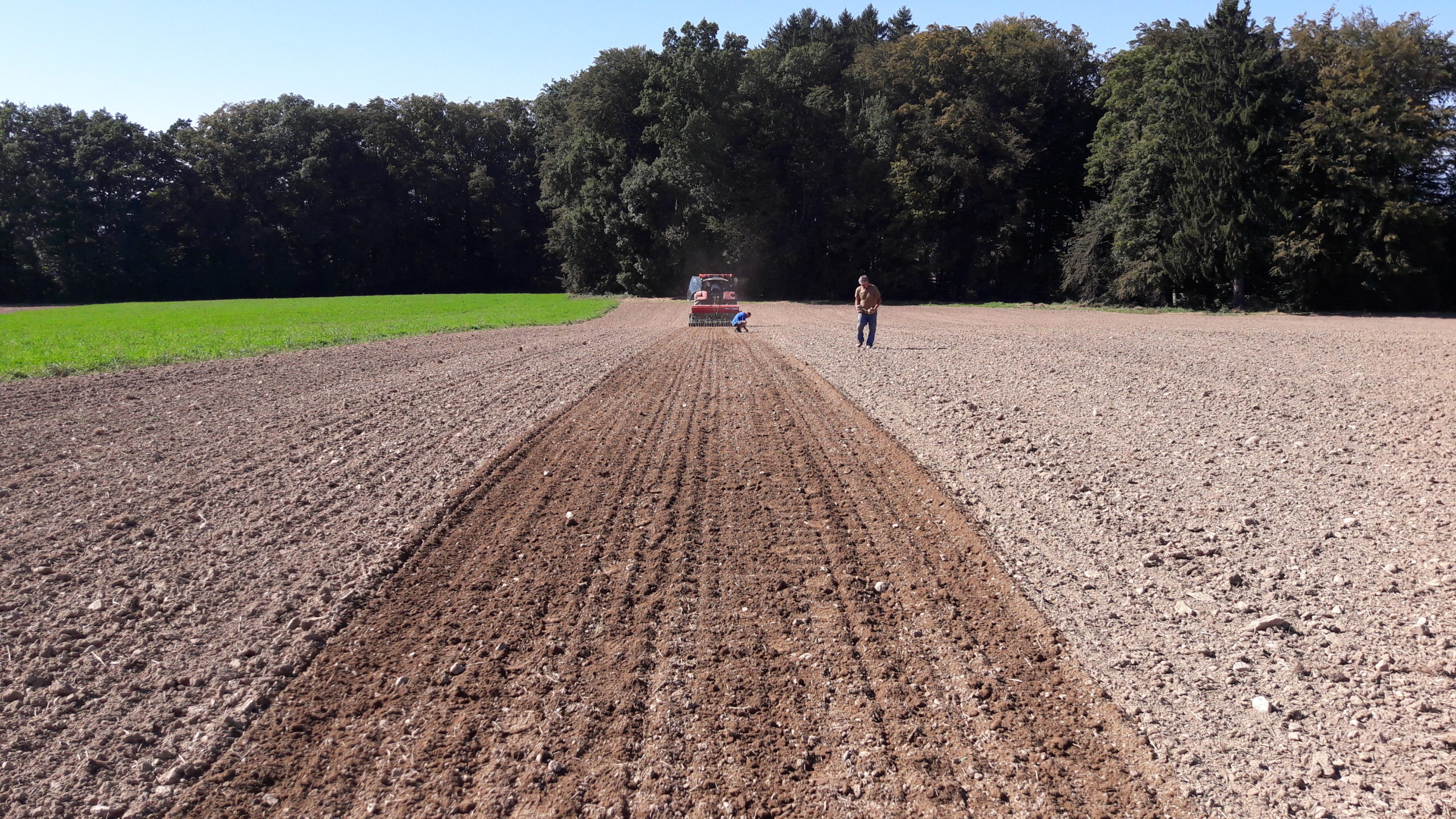 Que gagnent les familles paysannes?