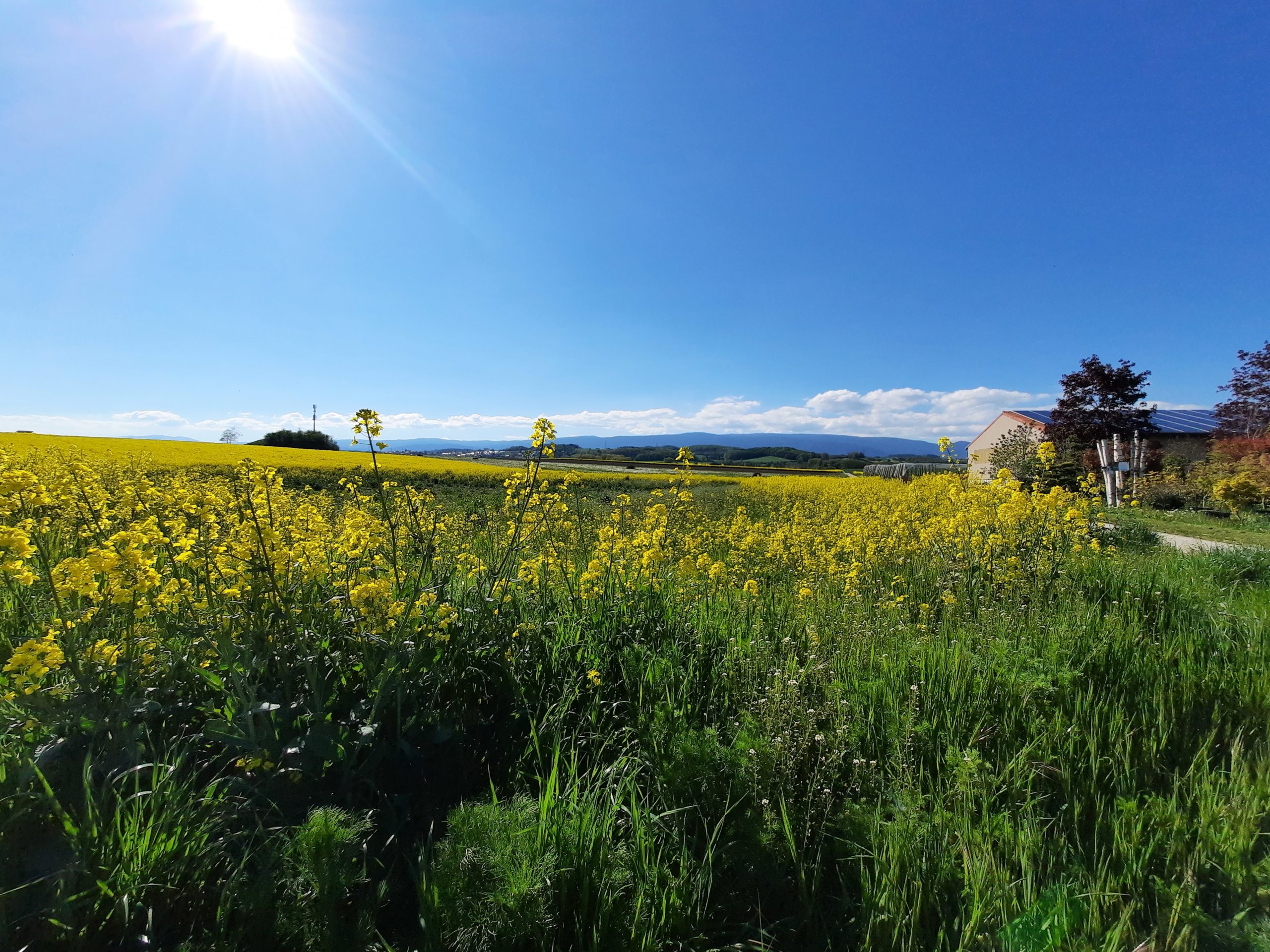 Circuits paysans: parcours didactiques
