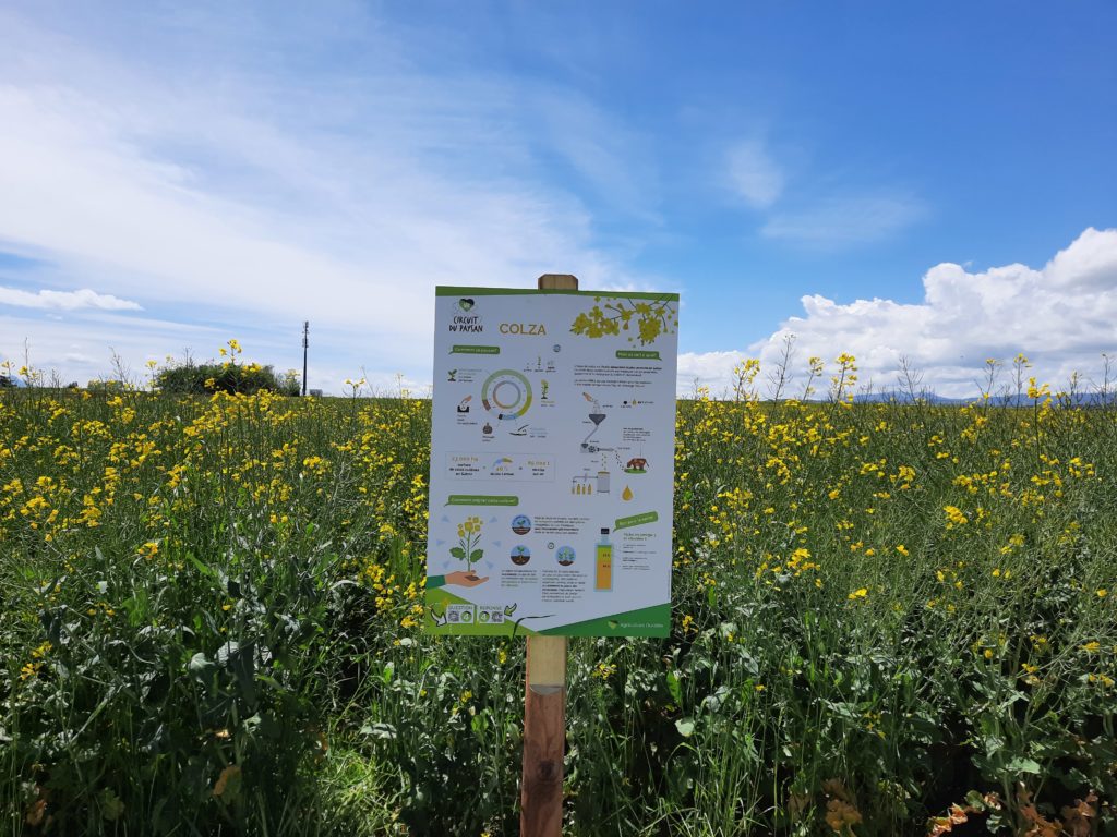 Nouveau loisir: parcours didactique autour de parcelles de cultures et d'élevage, le Circuit paysan