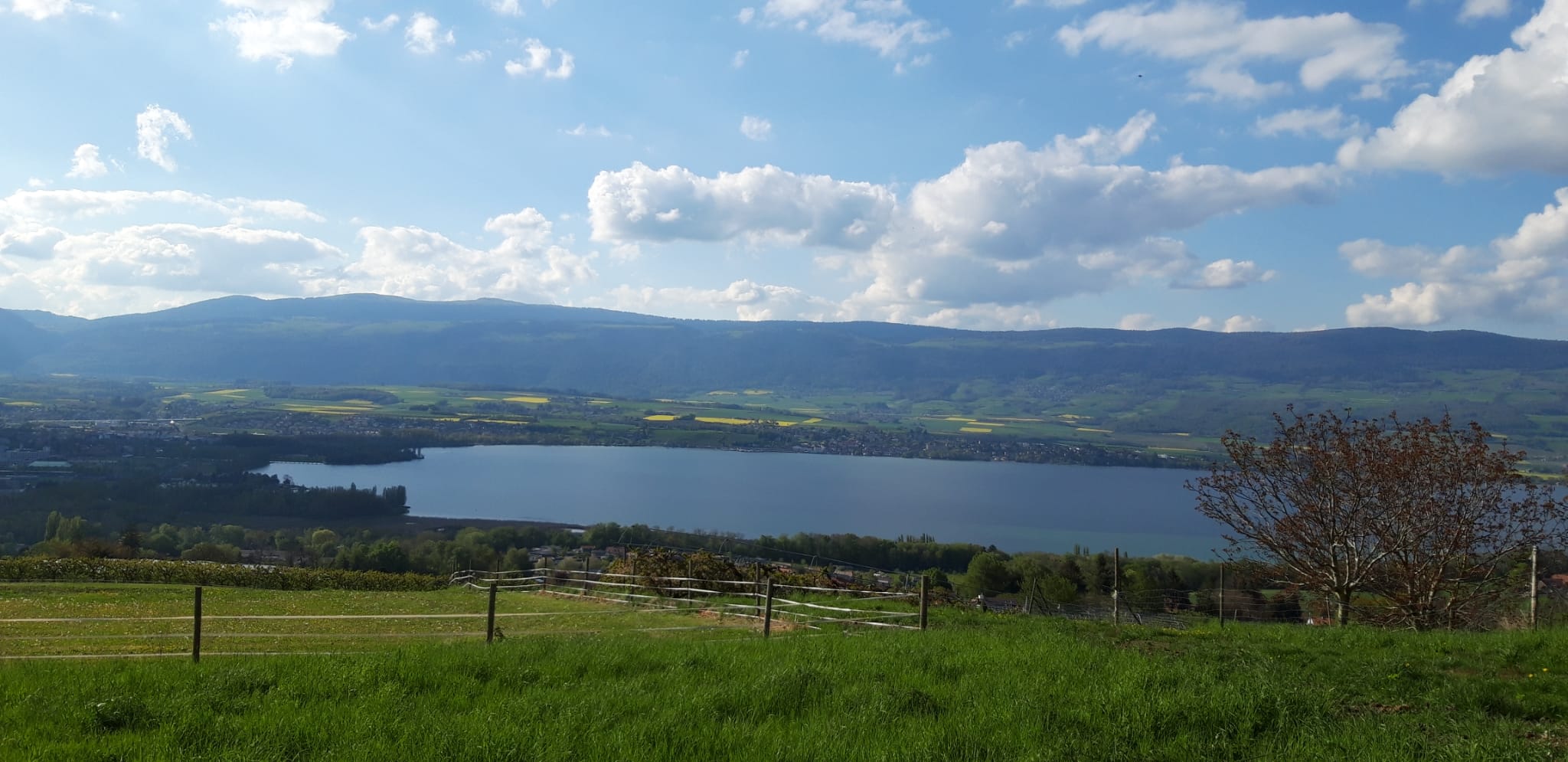 Circuit paysan: Pomy