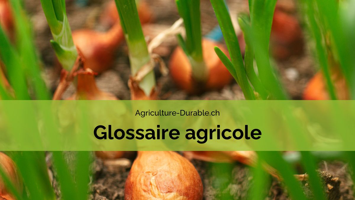Glossaire agricole